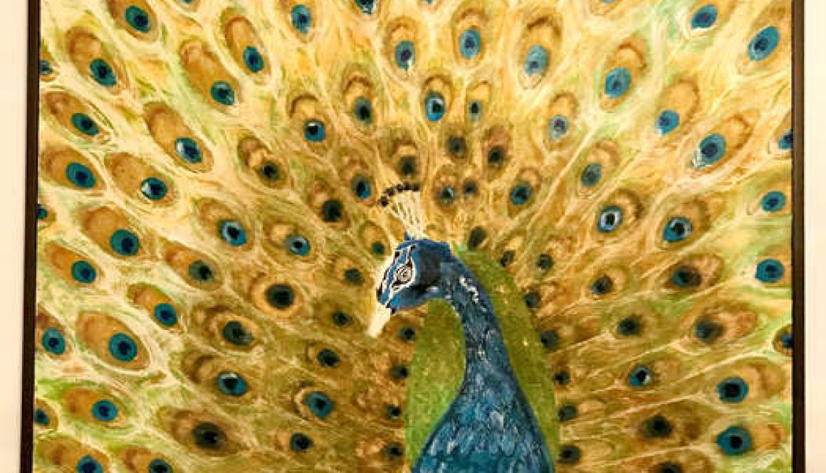 paunul the peacock